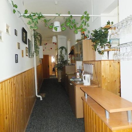 Ubytovani U Kovare Uście nad Łabą Zewnętrze zdjęcie